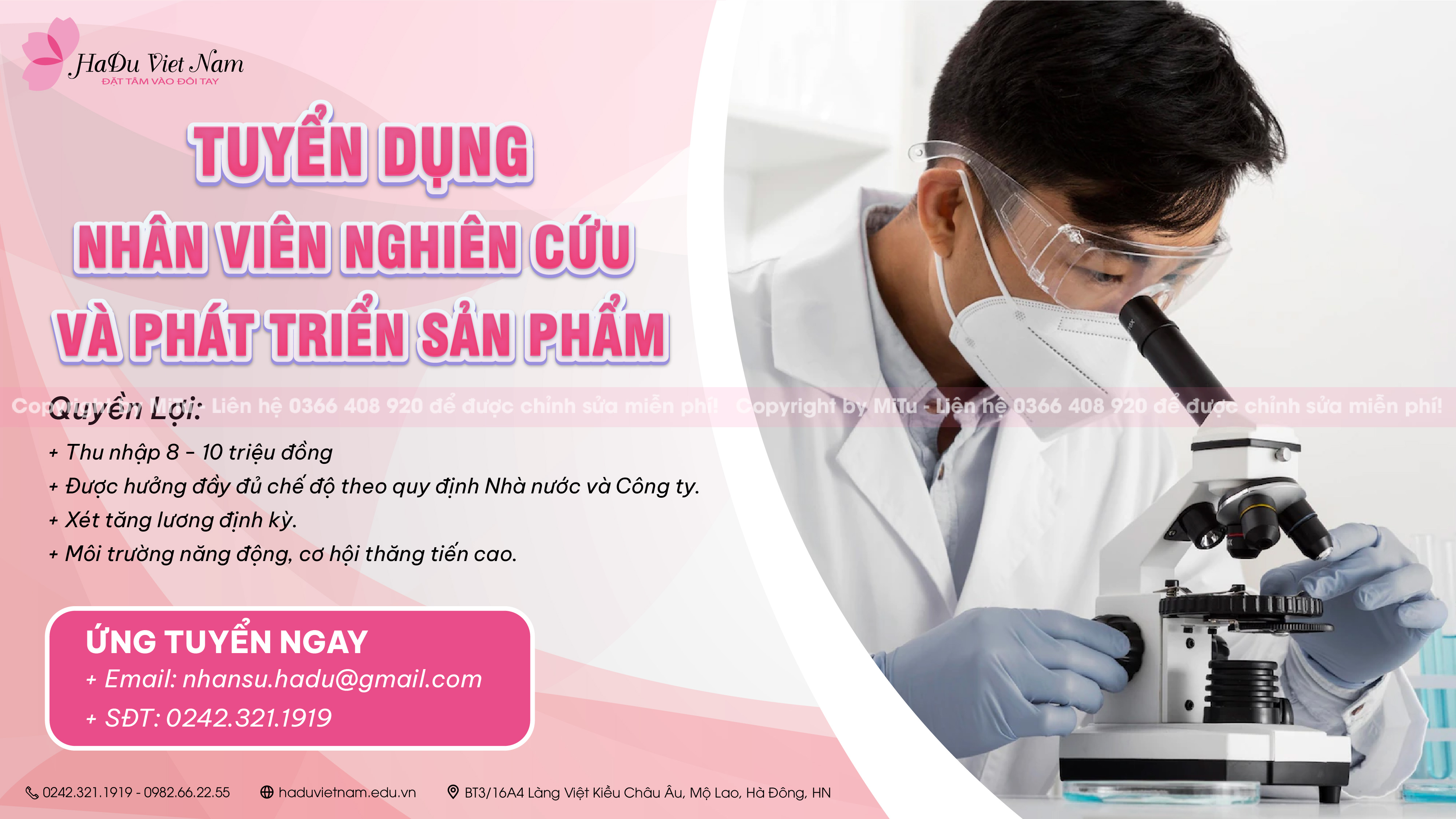 lĩnh vực hoạt động